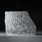Large Genuine Seymchan Meteorite Slice + Acrylic Display Stand // 371 g