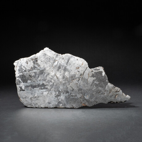 Genuine Natural Large Campo del Cielo Meteorite Slice // 481.7 g