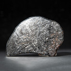 Large Genuine Seymchan Meteorite Slice + Acrylic Display Stand // 205 g