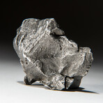 Genuine Natural Sikhote-Alin Meteorite // 63 g