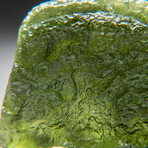 Genuine Natural Moldavite Tektite // 14.6 g