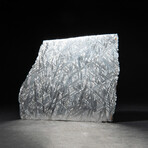 Large Genuine Seymchan Meteorite Slice + Acrylic Display Stand // 371 g