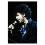Prince 1999 Tour #4 (18"W x 24"H, Edition 70)
