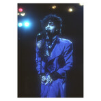 Prince 1999 Tour #3 (12"W x 16"H, Edition 100)