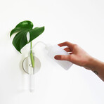 The Magnetic Propagation Set // Deluxe (Set of 3)