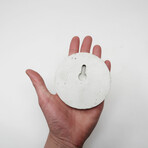 The Magnetic Propagation Set // Deluxe (Set of 3)