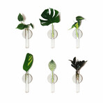 The Magnetic Propagation Set // Deluxe (Set of 3)