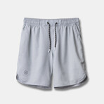 Luka 5" Lined Shorts // Gray (XL)