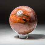 Genuine Polished Petrified Wood Sphere // V1