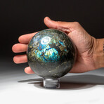 Genuine Polished Labradorite Sphere + Acrylic Display Stand // V3