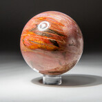 Genuine Polished Petrified Wood Sphere // V1