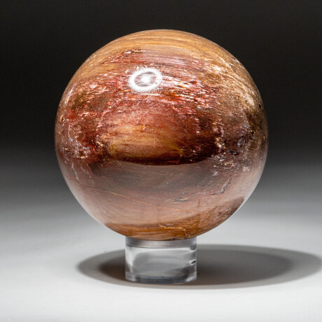 Genuine Polished Petrified Wood Sphere // V2
