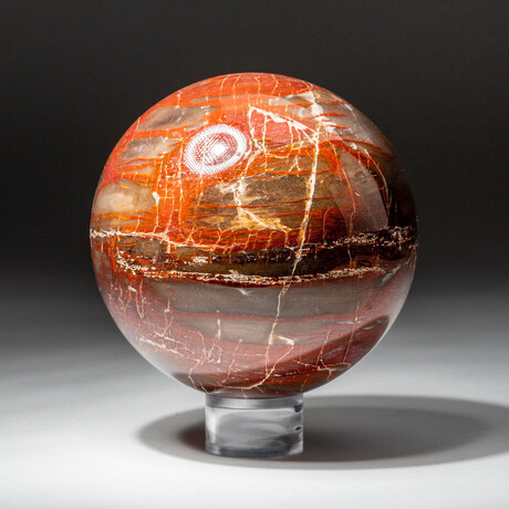 Genuine Polished Petrified Wood Sphere // V3