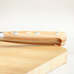 Chef's Professional Knives // Set of 5