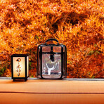 Dulles Touch Vegan Legionnaire // Clear