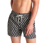 Matteo Swim Shorts // Cape Town (Small)
