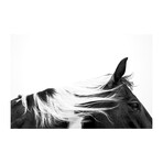 Beauty (24"W x 24"H, Edition 25)