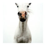 Risky (24"W x 24"H, Edition 25)