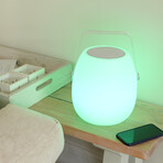 Ava // LED Speaker Lantern