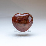 Genuine Polished Petrified Wood Heart + Acrylic Display Stand // V2