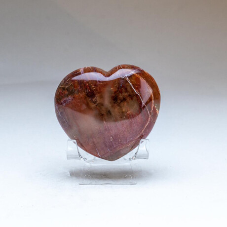 Genuine Polished Petrified Wood Heart + Acrylic Display Stand // V2
