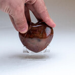 Genuine Polished Petrified Wood Heart + Acrylic Display Stand // V2