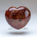 Genuine Polished Petrified Wood Heart + Acrylic Display Stand // V2