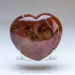 Genuine Polished Petrified Wood Heart + Acrylic Display Stand // V2