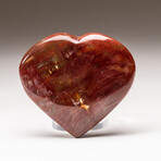 Genuine Polished Petrified Wood Heart + Acrylic Display Stand // V1