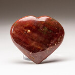 Genuine Polished Petrified Wood Heart + Acrylic Display Stand // V1