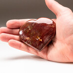 Genuine Polished Petrified Wood Heart + Acrylic Display Stand // V1
