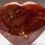 Genuine Polished Petrified Wood Heart + Acrylic Display Stand // V1