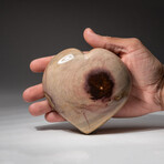 Genuine Polished Polychrome Jasper Heart + Acrylic Display Stand // V7