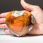 Genuine Polished Polychrome Jasper Heart + Acrylic Display Stand // V5