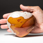 Genuine Polished Polychrome Jasper Heart + Acrylic Display Stand // V6