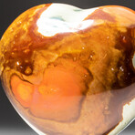 Genuine Polished Polychrome Jasper Heart + Acrylic Display Stand // V5