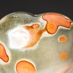 Genuine Polished Polychrome Jasper Heart + Acrylic Display Stand // V3