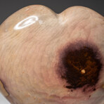 Genuine Polished Polychrome Jasper Heart + Acrylic Display Stand // V7