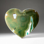 Genuine Polished Green Agate Heart + Acrylic Display Stand // V2