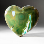 Genuine Polished Green Agate Heart + Acrylic Display Stand // V2