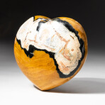 Genuine Polished Ocean Jasper Heart + Acrylic Display Stand // V2