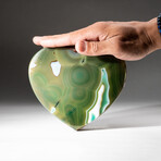 Genuine Polished Green Agate Heart + Acrylic Display Stand // V2