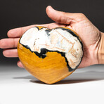 Genuine Polished Ocean Jasper Heart + Acrylic Display Stand // V2