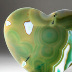 Genuine Polished Green Agate Heart + Acrylic Display Stand // V2