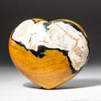 Genuine Polished Ocean Jasper Heart + Acrylic Display Stand // V2