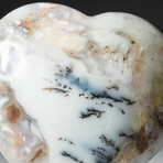 Genuine Polished Dendritic Quartz Agate Heart + Acrylic Display Stand
