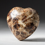 Genuine Polished Brown Petrified Wood Heart + Acrylic Display Stand // V2
