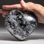 Genuine Polished Galena Heart + Acrylic Display Stand