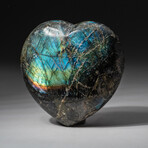 Genuine Polished Labradorite Heart + Acrylic Display Stand // V1