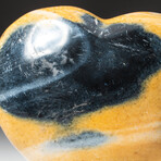 Genuine Polished Ocean Jasper Heart + Acrylic Display Stand // V1